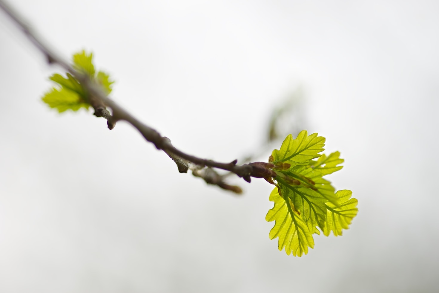 Przedsiębiorcy w harmonii z przyrodą — historie sukcesu