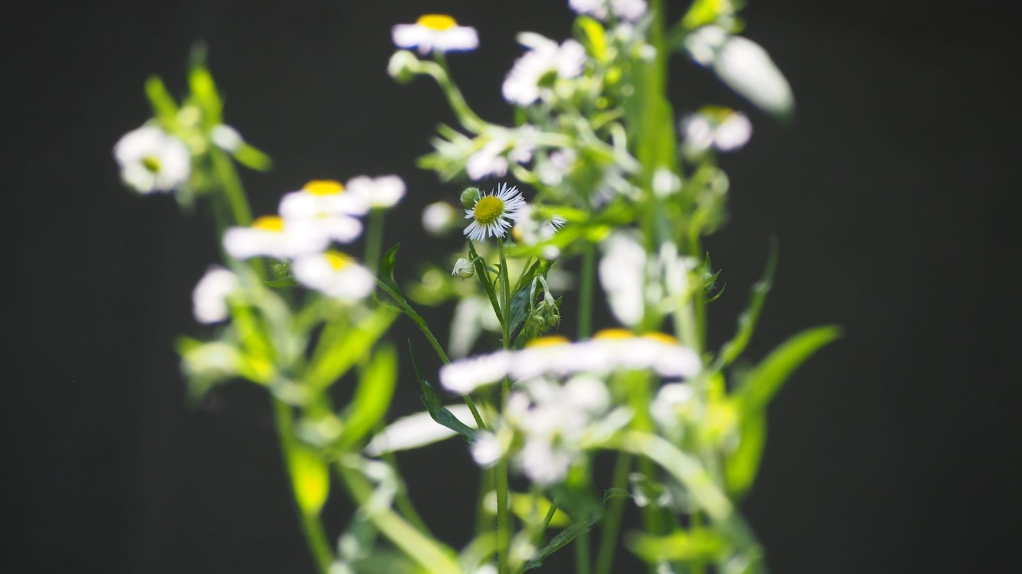 Budowanie społeczności z szacunkiem dla natury