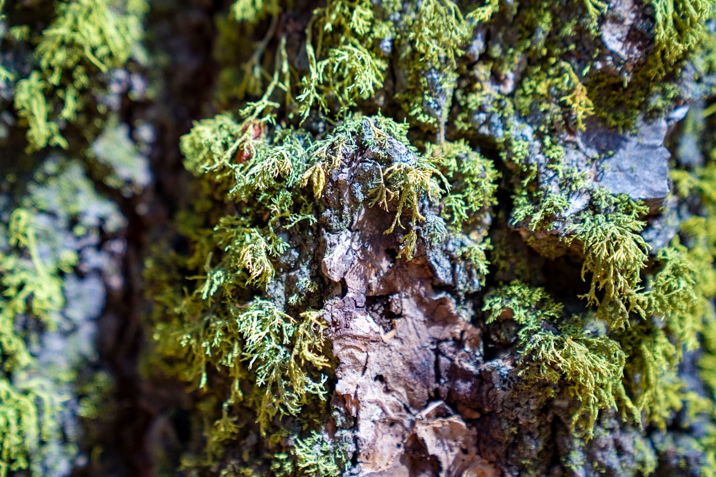 Inspiracje dla twórców dbających o środowisko