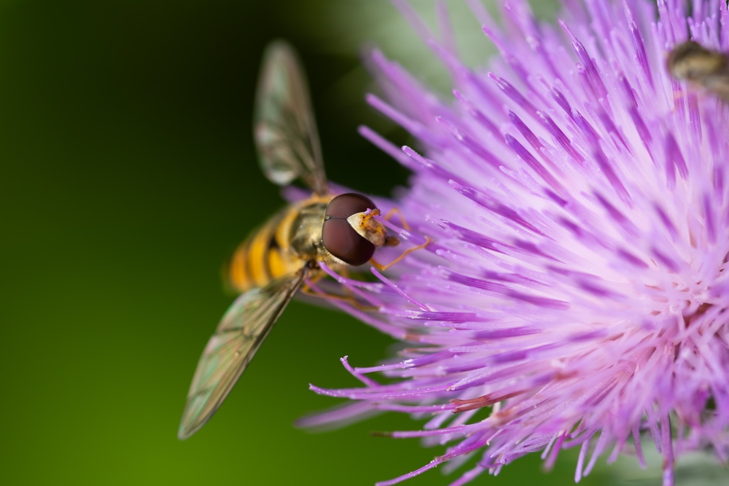 Przestrzeń dla ekologicznego biznesu i kreatywności